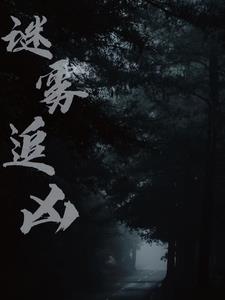谜雾追凶谜雾追凶
